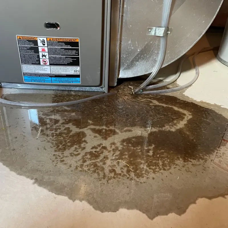 Appliance Leak Cleanup in Austin, IN